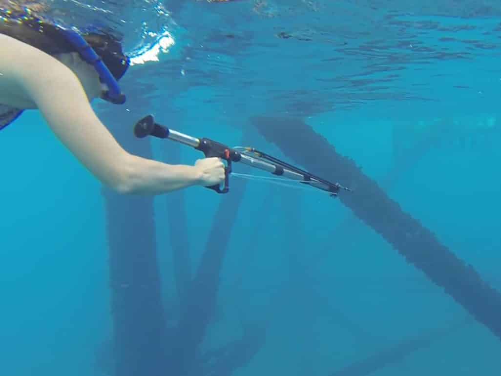Spearfishing with gun - Gulf of Mexico Spearfishing with gun - Gulf of Mexico